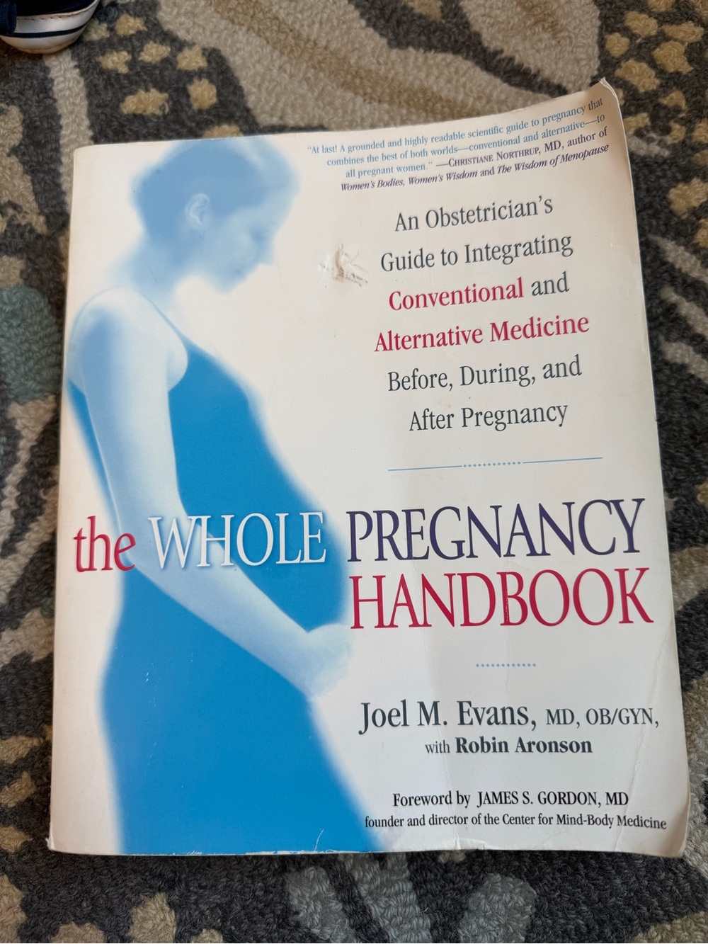 The Whole Pregnancy Handbook Joel Evans MD Holistic Pregnancy Guide